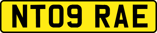 NT09RAE