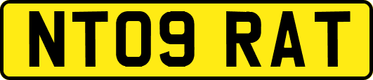 NT09RAT