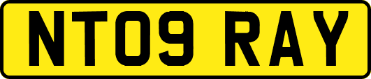 NT09RAY