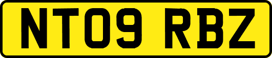 NT09RBZ