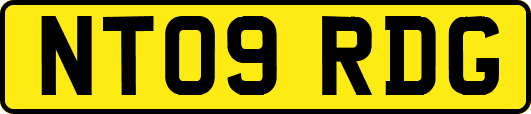 NT09RDG