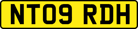 NT09RDH