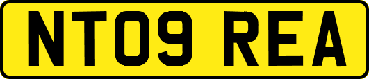 NT09REA