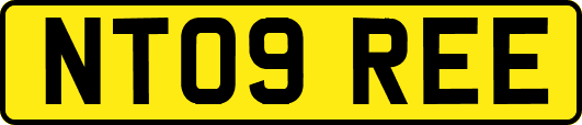 NT09REE