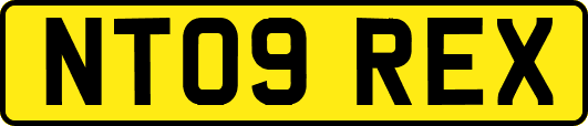 NT09REX