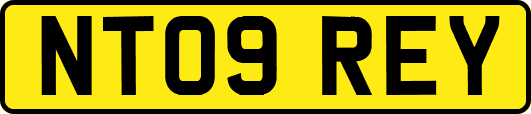 NT09REY