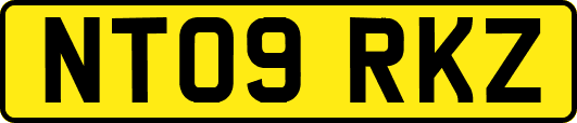 NT09RKZ