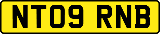NT09RNB