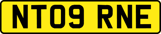 NT09RNE