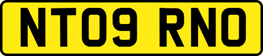 NT09RNO