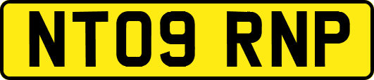 NT09RNP