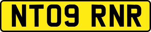 NT09RNR