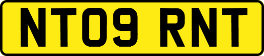 NT09RNT