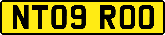 NT09ROO