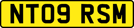 NT09RSM