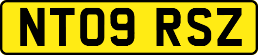 NT09RSZ
