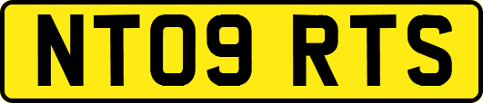 NT09RTS