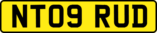 NT09RUD