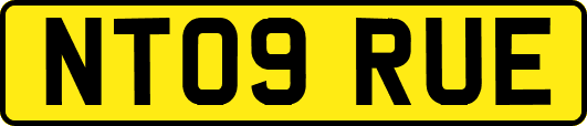 NT09RUE