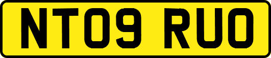 NT09RUO