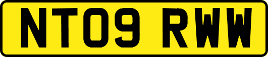 NT09RWW