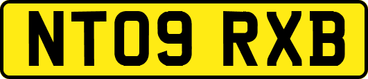 NT09RXB