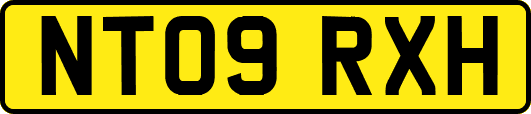 NT09RXH