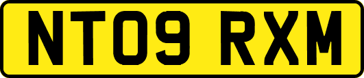 NT09RXM