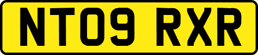NT09RXR