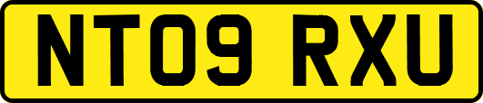 NT09RXU