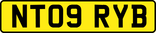 NT09RYB