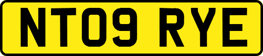 NT09RYE