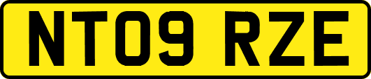 NT09RZE