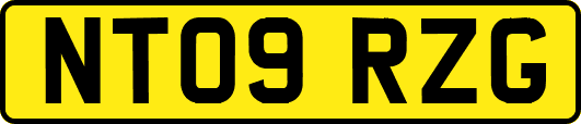 NT09RZG