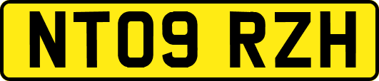 NT09RZH