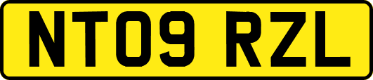 NT09RZL