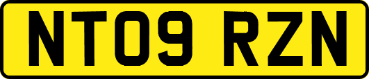 NT09RZN