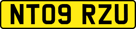 NT09RZU
