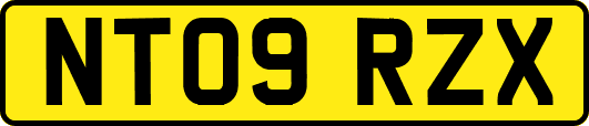 NT09RZX