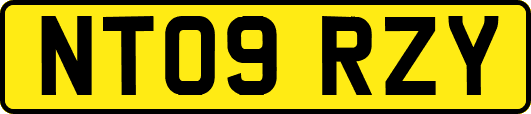 NT09RZY