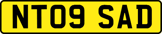 NT09SAD