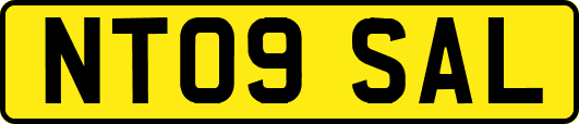 NT09SAL