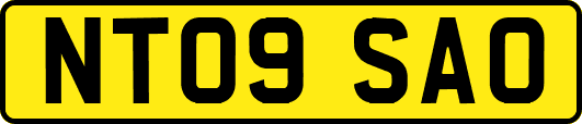 NT09SAO