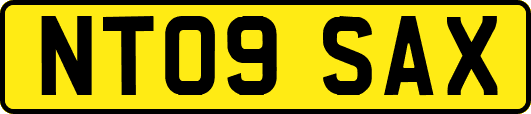NT09SAX