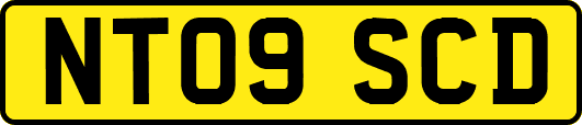NT09SCD