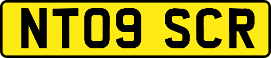 NT09SCR