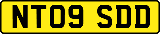 NT09SDD