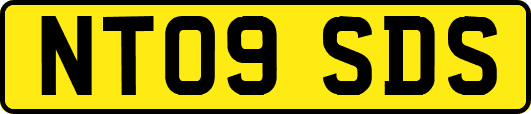 NT09SDS