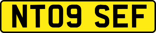 NT09SEF