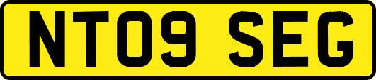 NT09SEG